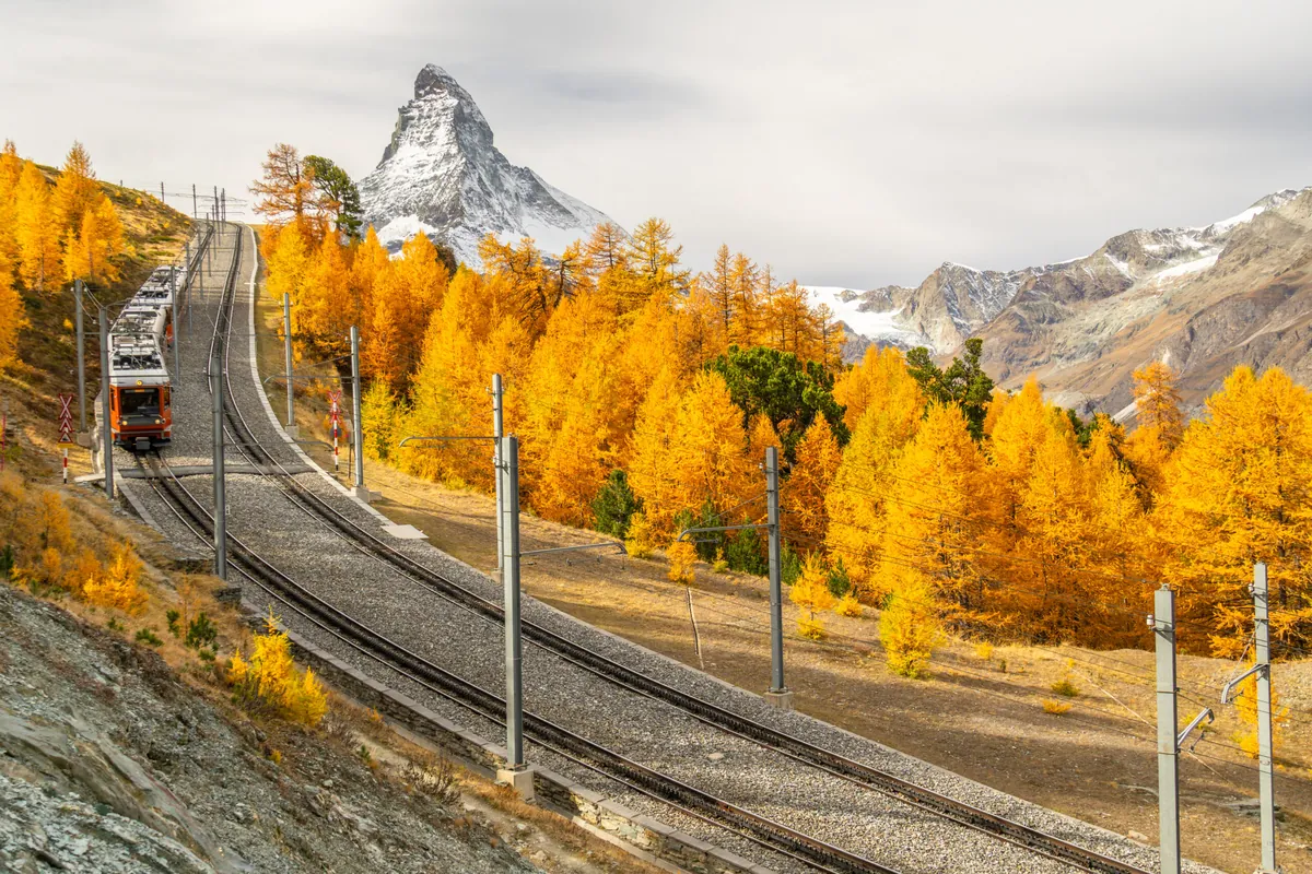 Scenic train